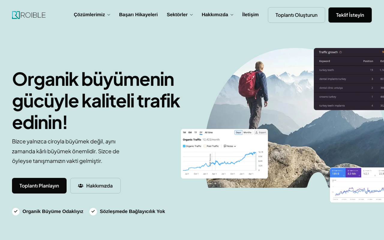 ROIBLE Dijital Pazarlama Ajansı screenshot
