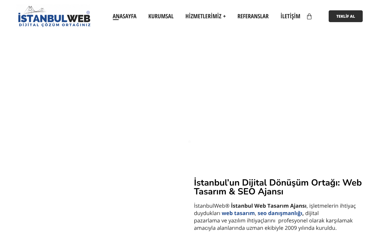 Web Tasarım İstanbul screenshot