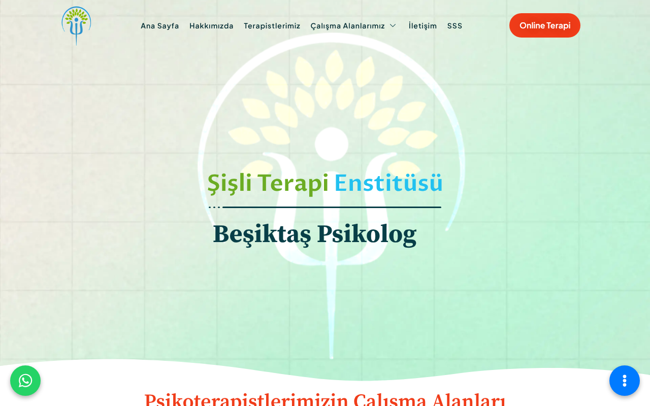 Şişli Terapi Enstitüsü screenshot — 30 Apr 2026