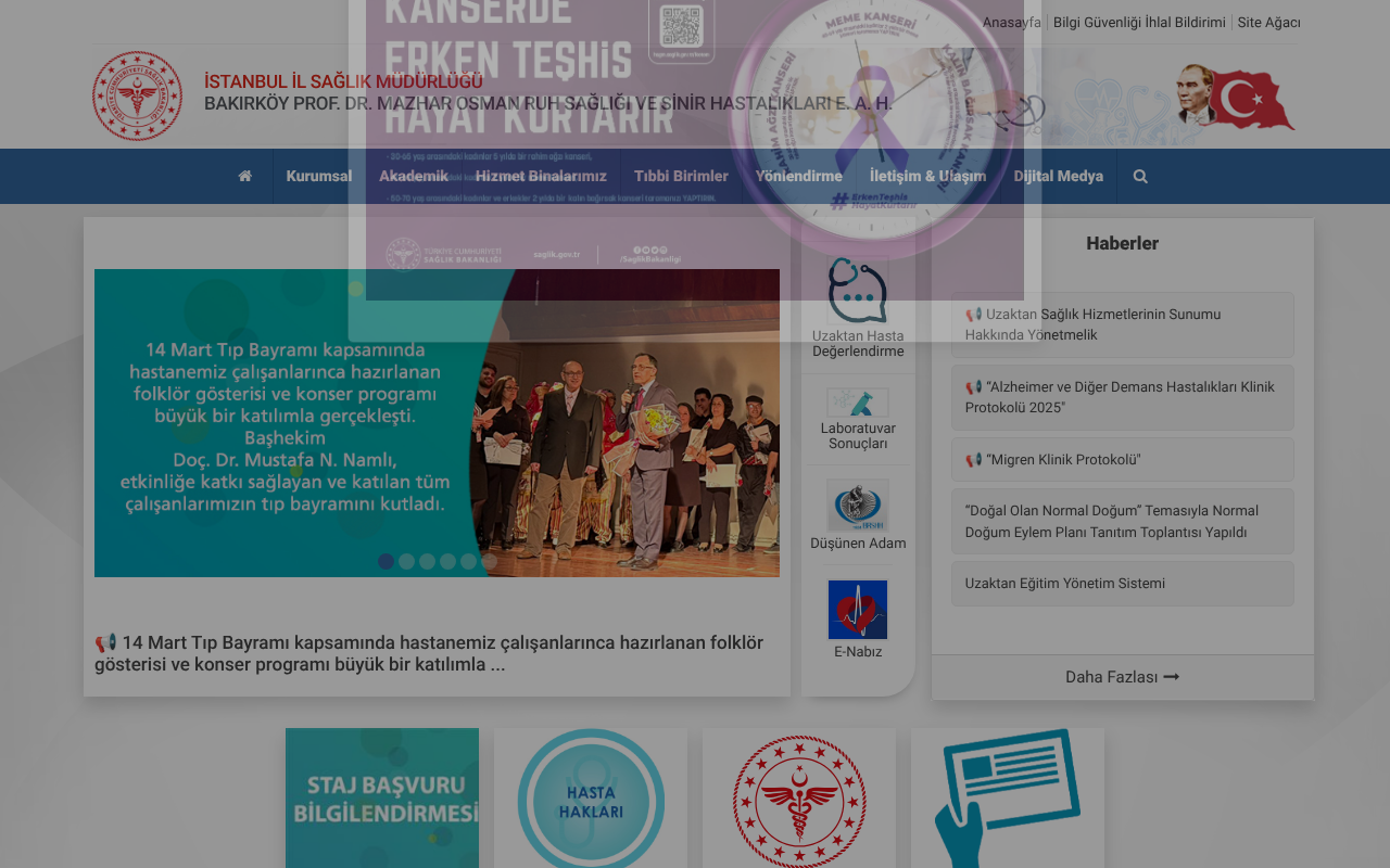 Web sitesi görüntüsü