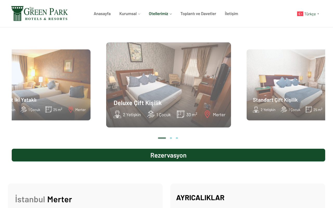 Web sitesi görüntüsü