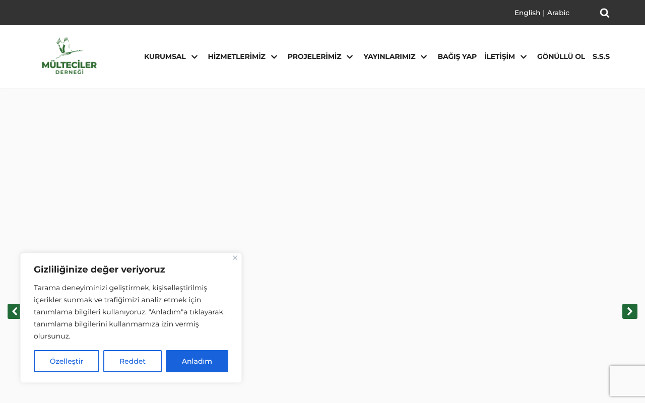 Web sitesi görüntüsü