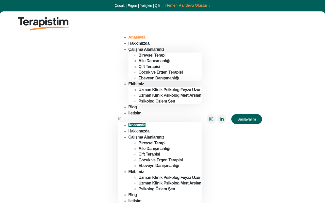 Web sitesi görüntüsü