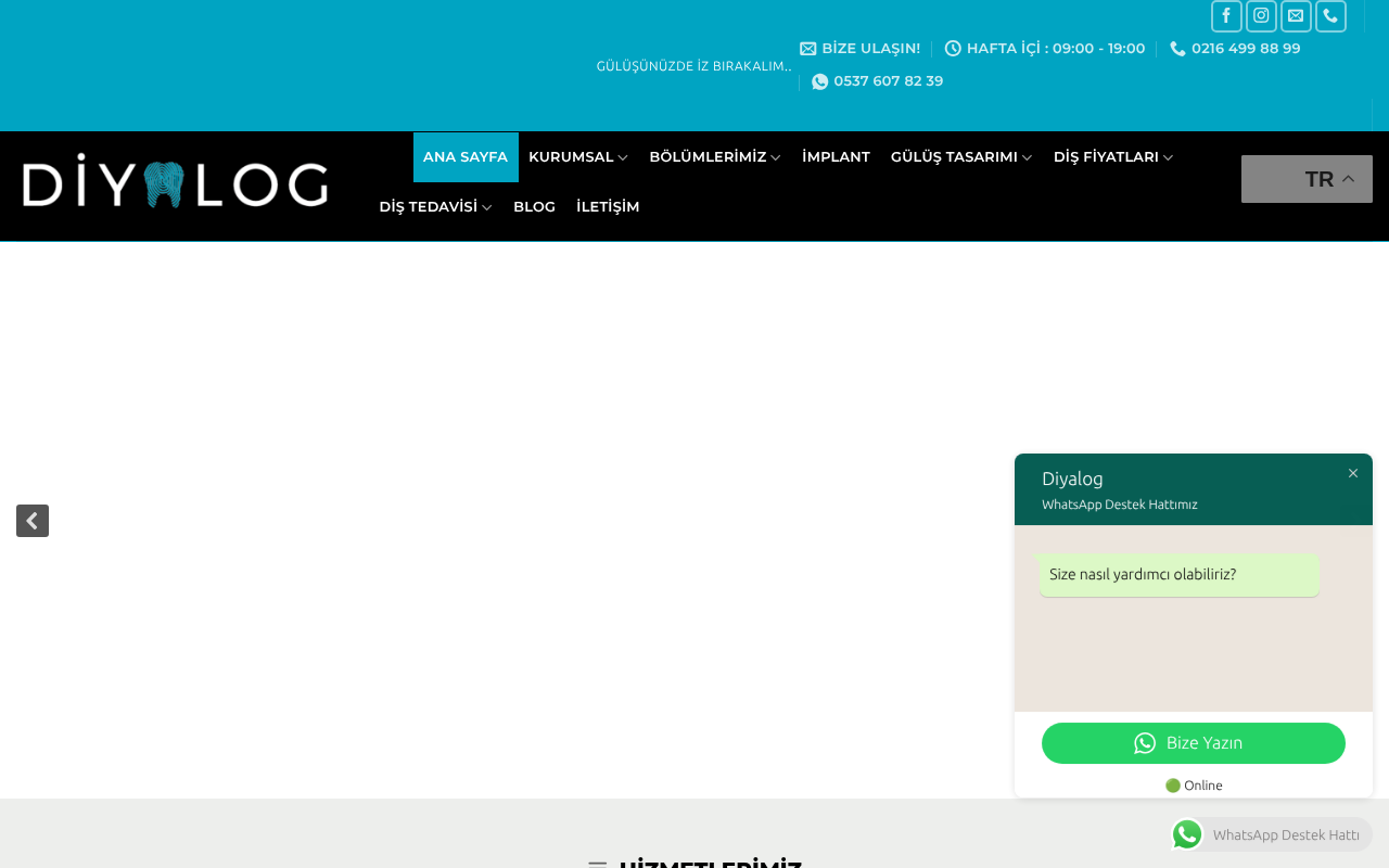 Web sitesi görüntüsü