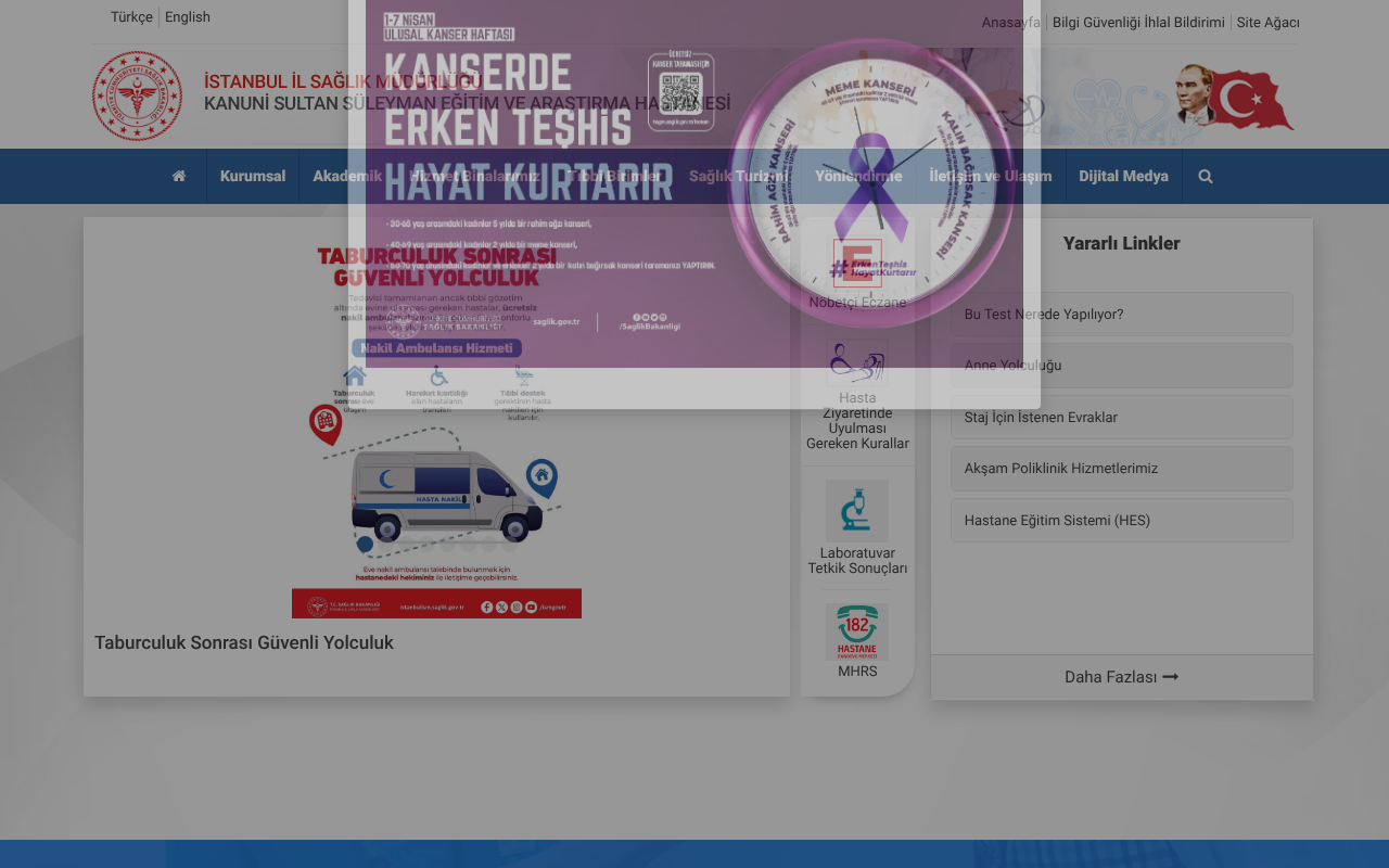 Web sitesi görüntüsü