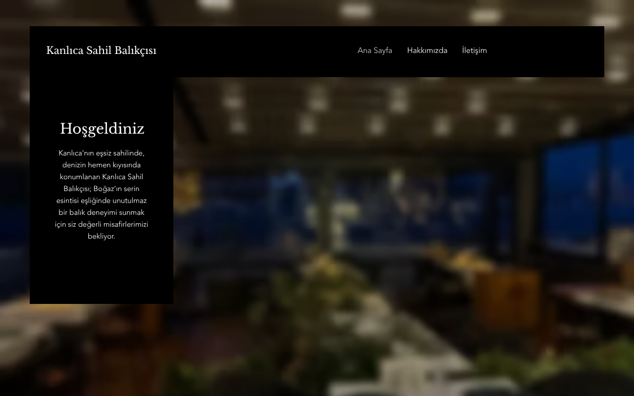 Web sitesi görüntüsü