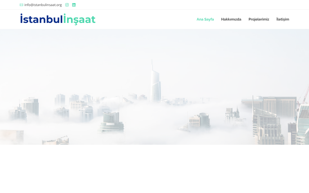 Web sitesi görüntüsü
