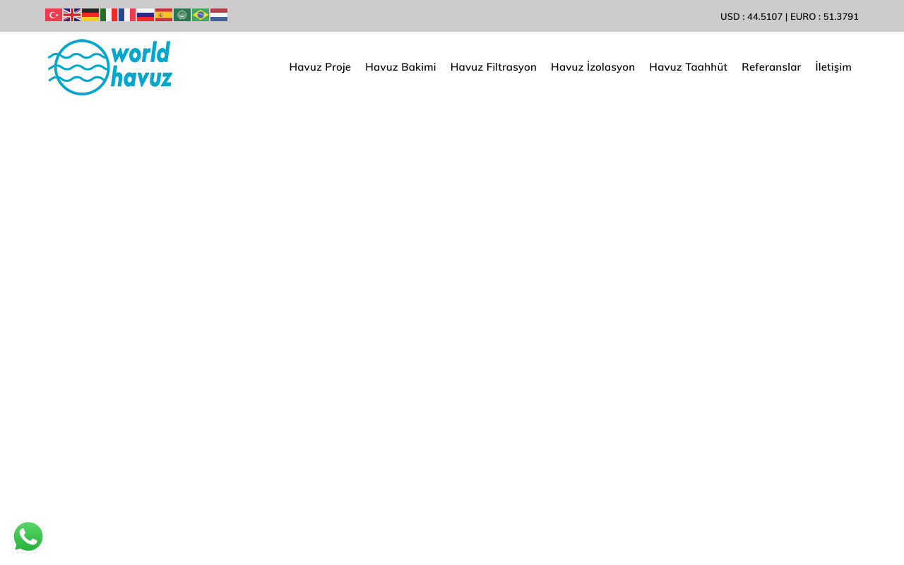 Web sitesi görüntüsü