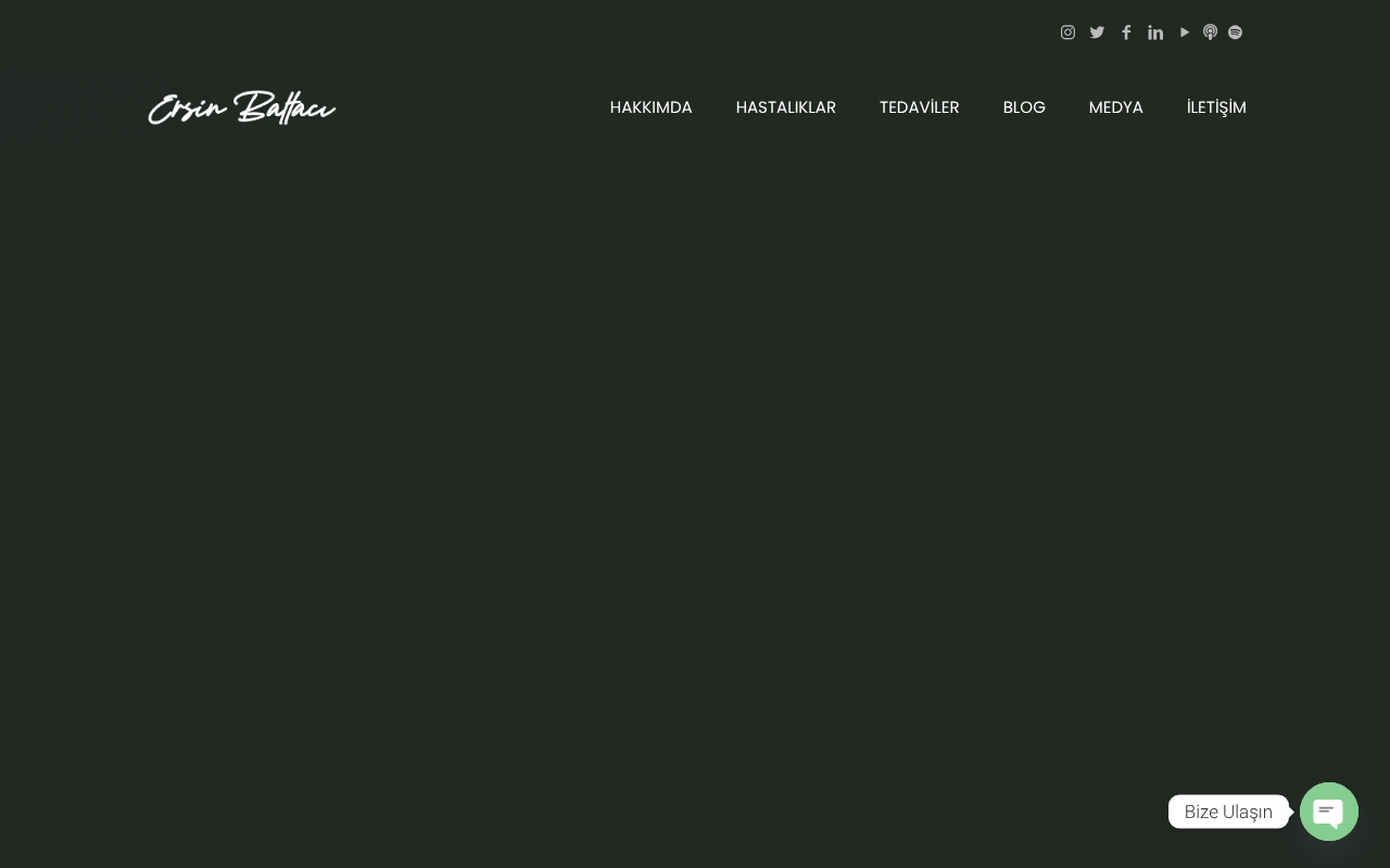 Web sitesi görüntüsü