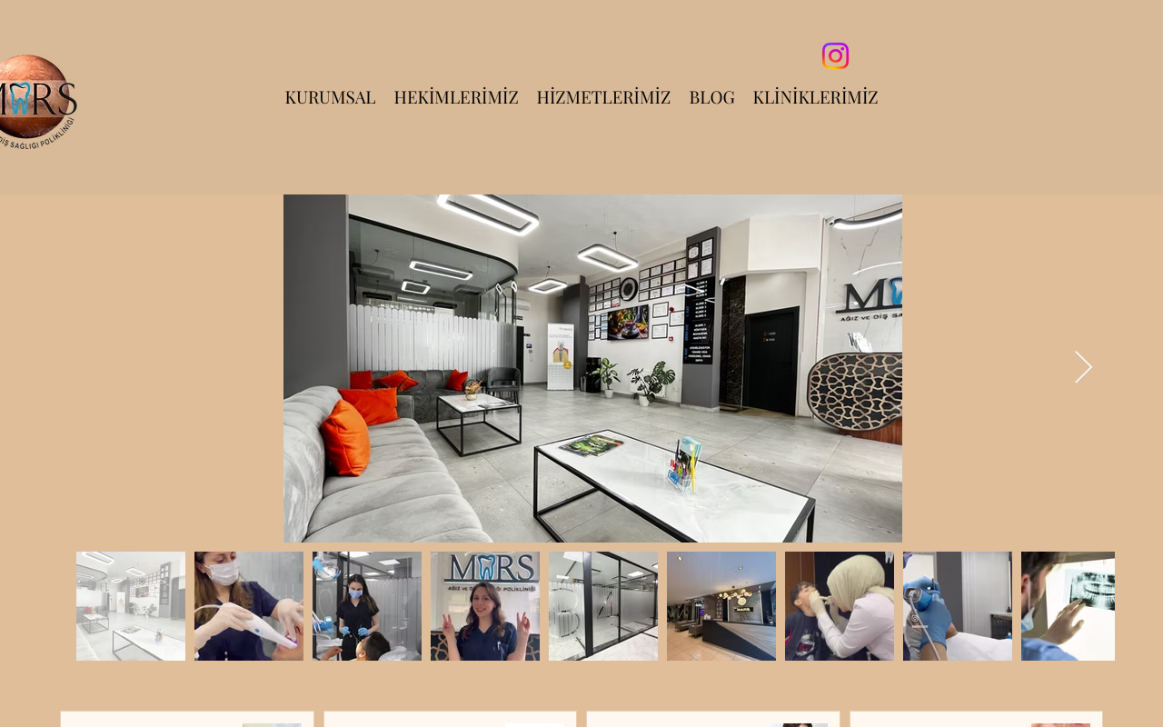 Web sitesi görüntüsü
