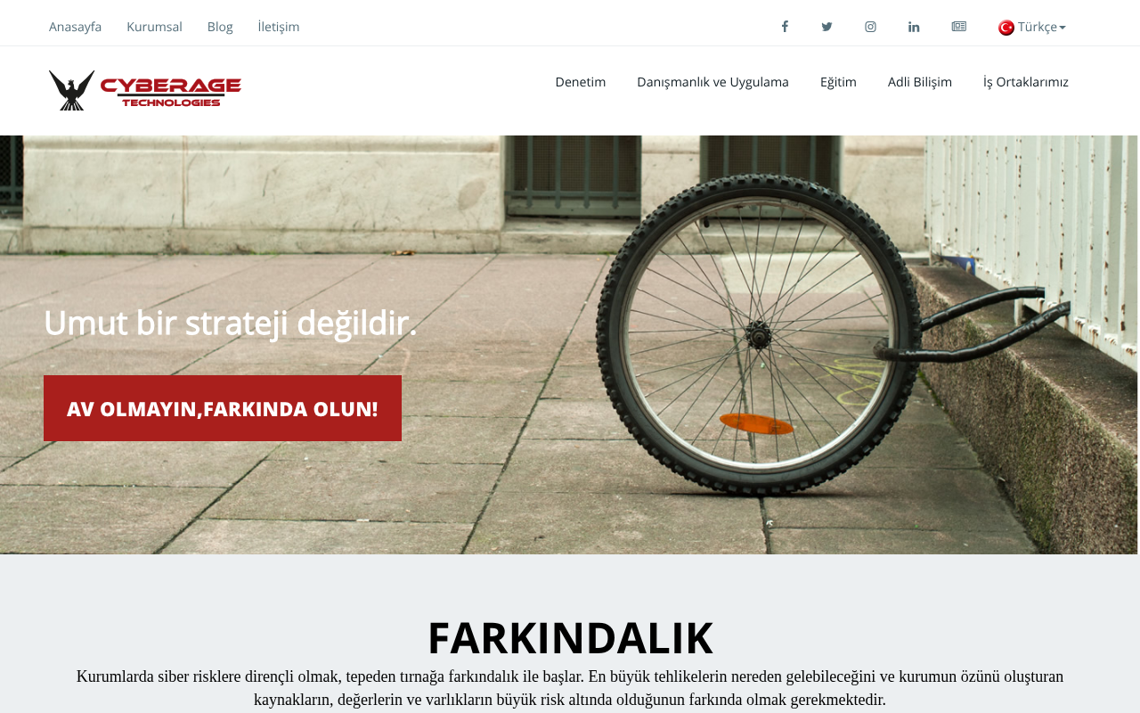 Cyberage, Siber Çağ Bilgi ve Güvenlik Sistemleri A.Ş. — Site Report