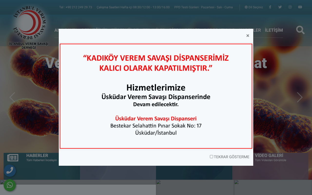 Web sitesi görüntüsü
