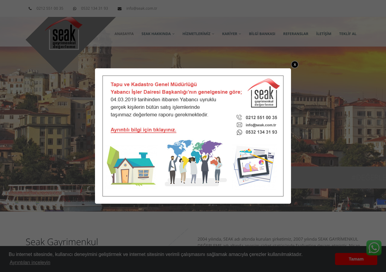 Web sitesi görüntüsü