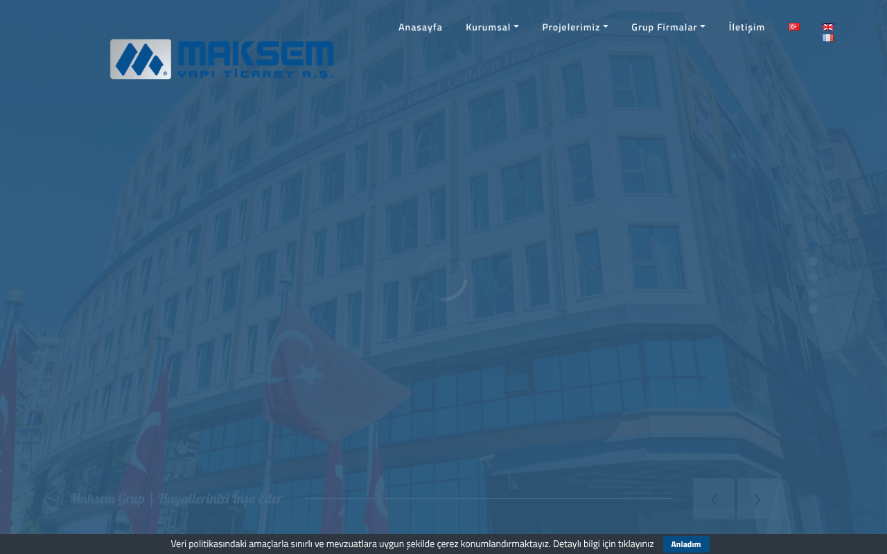 Web sitesi görüntüsü
