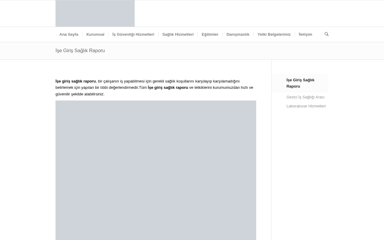 Web sitesi görüntüsü