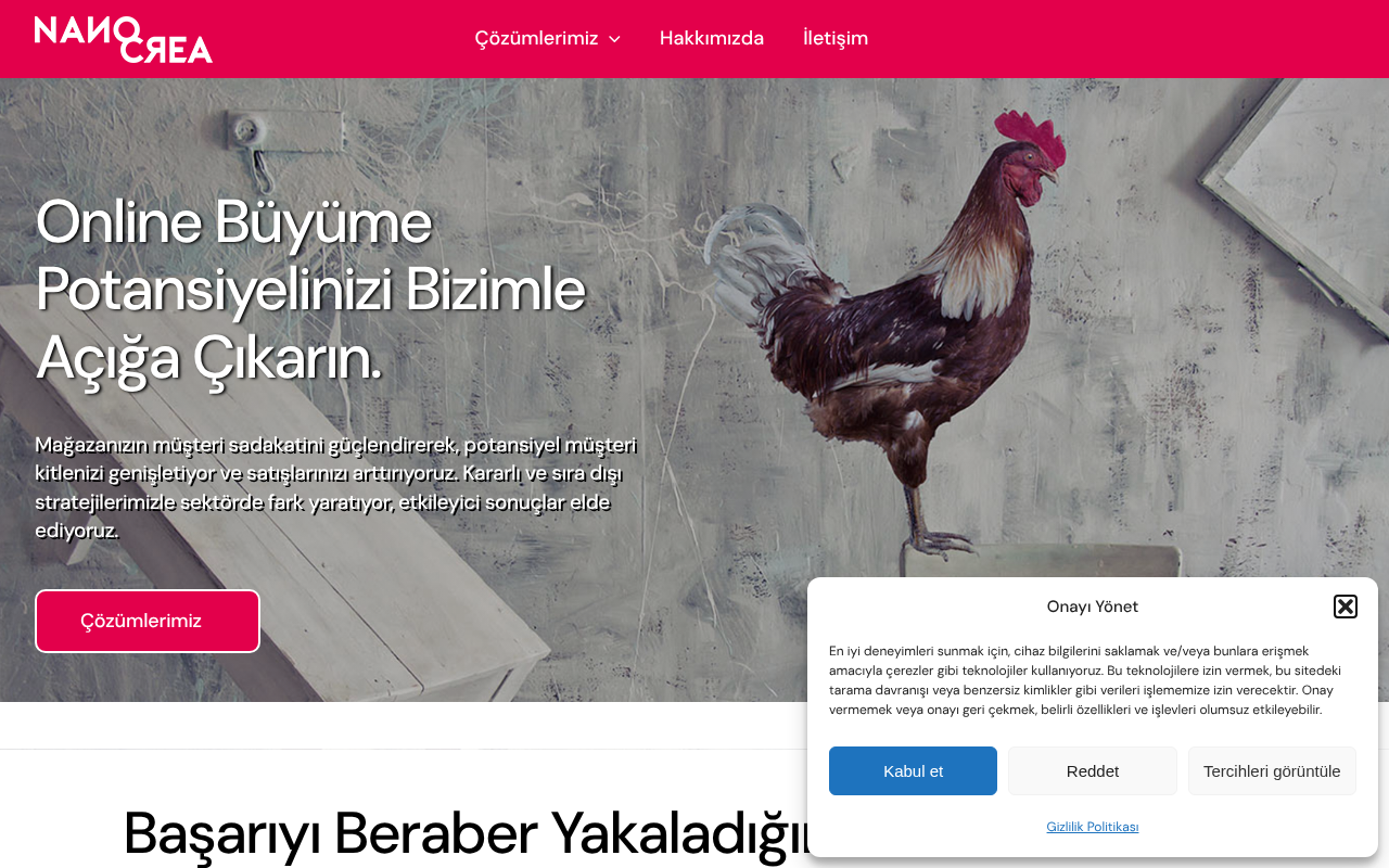 NanoCrea Dijital Performans Ajansı — Site Report