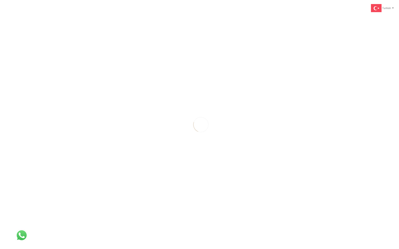 Web sitesi görüntüsü