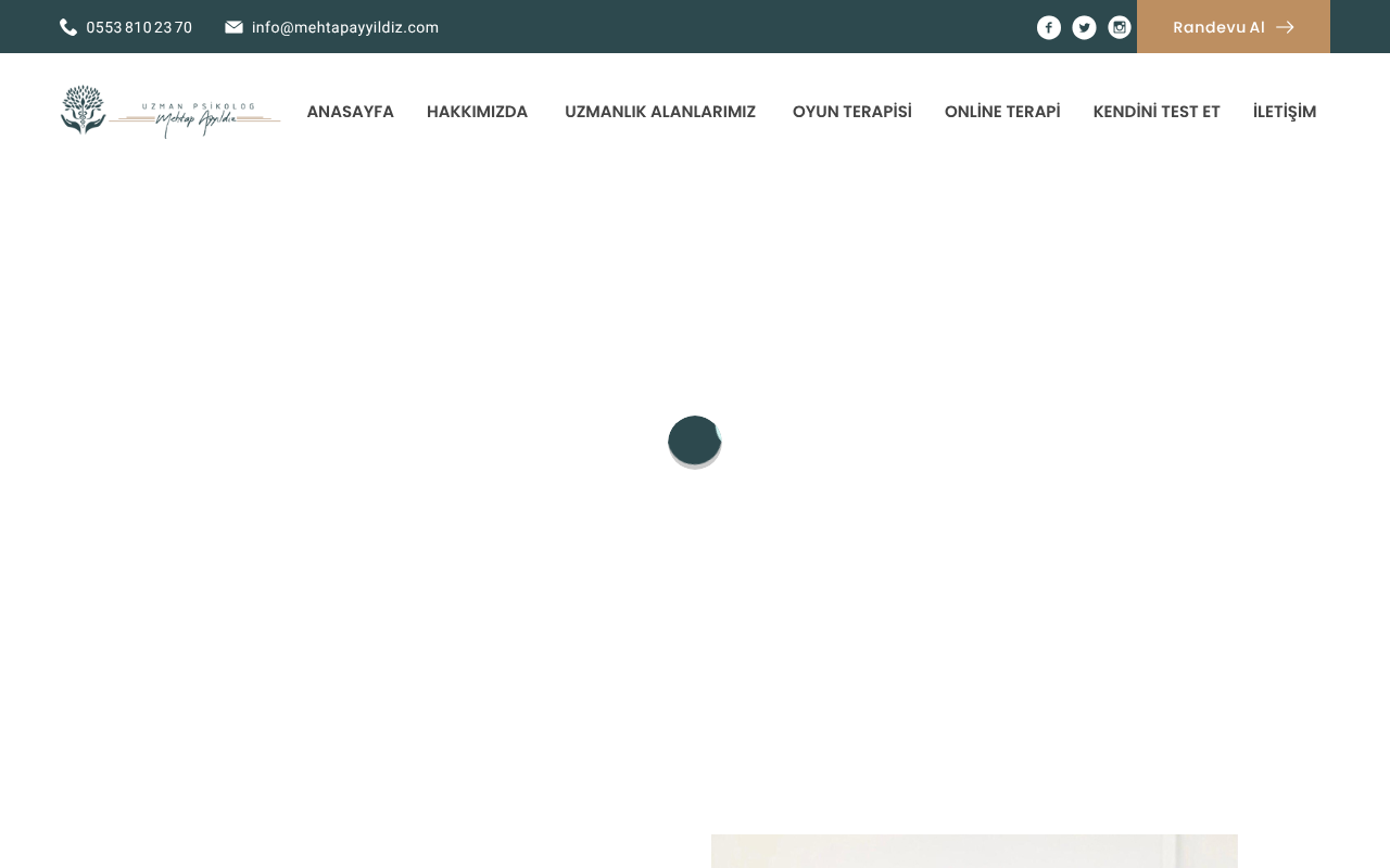 Web sitesi görüntüsü
