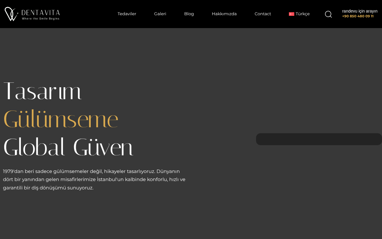 Web sitesi görüntüsü
