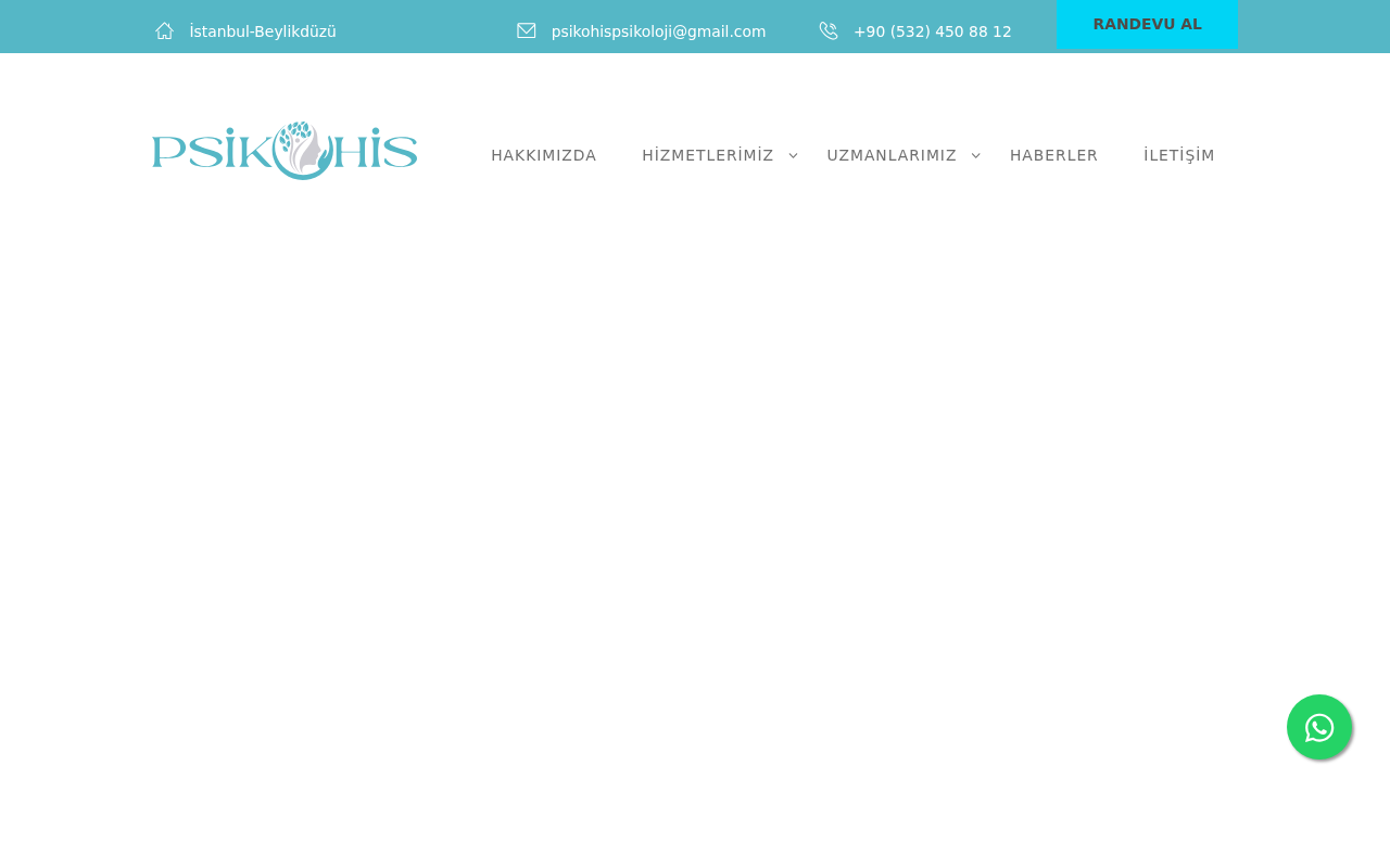Web sitesi görüntüsü