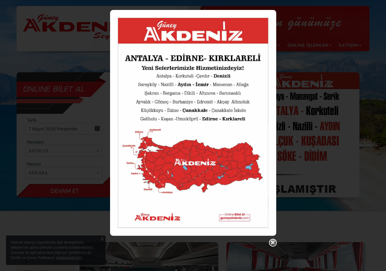 Web sitesi görüntüsü