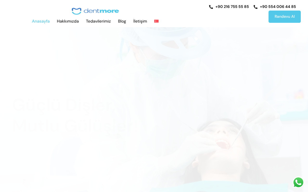 Web sitesi görüntüsü