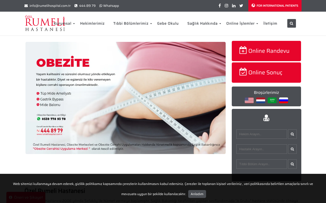 Web sitesi görüntüsü