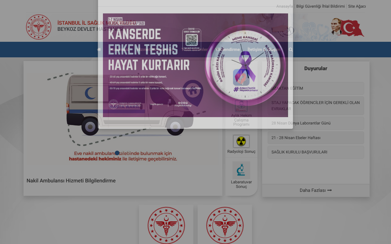 Web sitesi görüntüsü