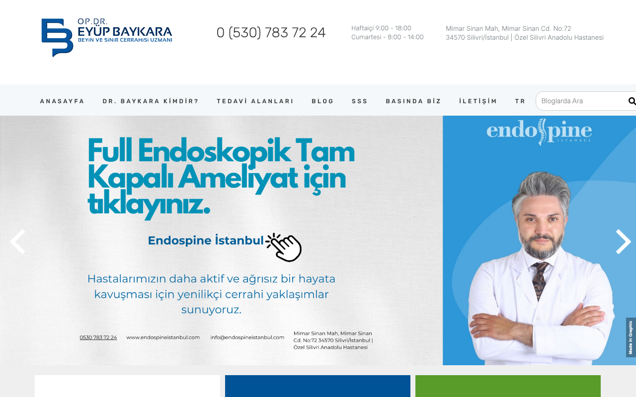 Web sitesi görüntüsü