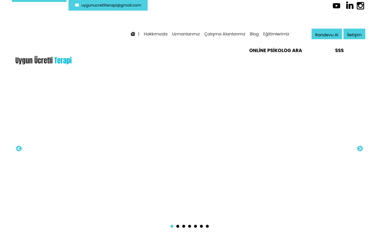 Web sitesi görüntüsü