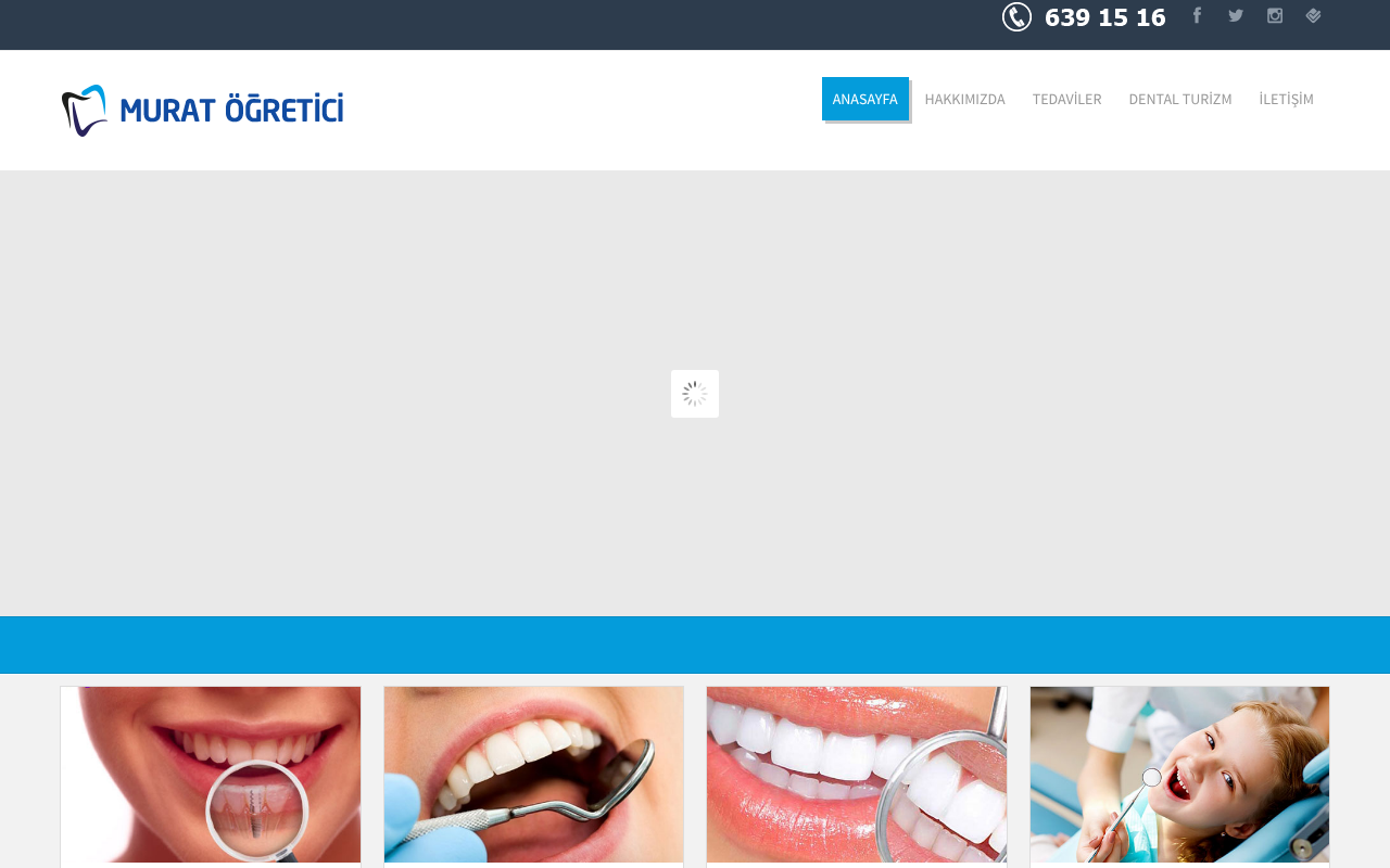 Web sitesi görüntüsü