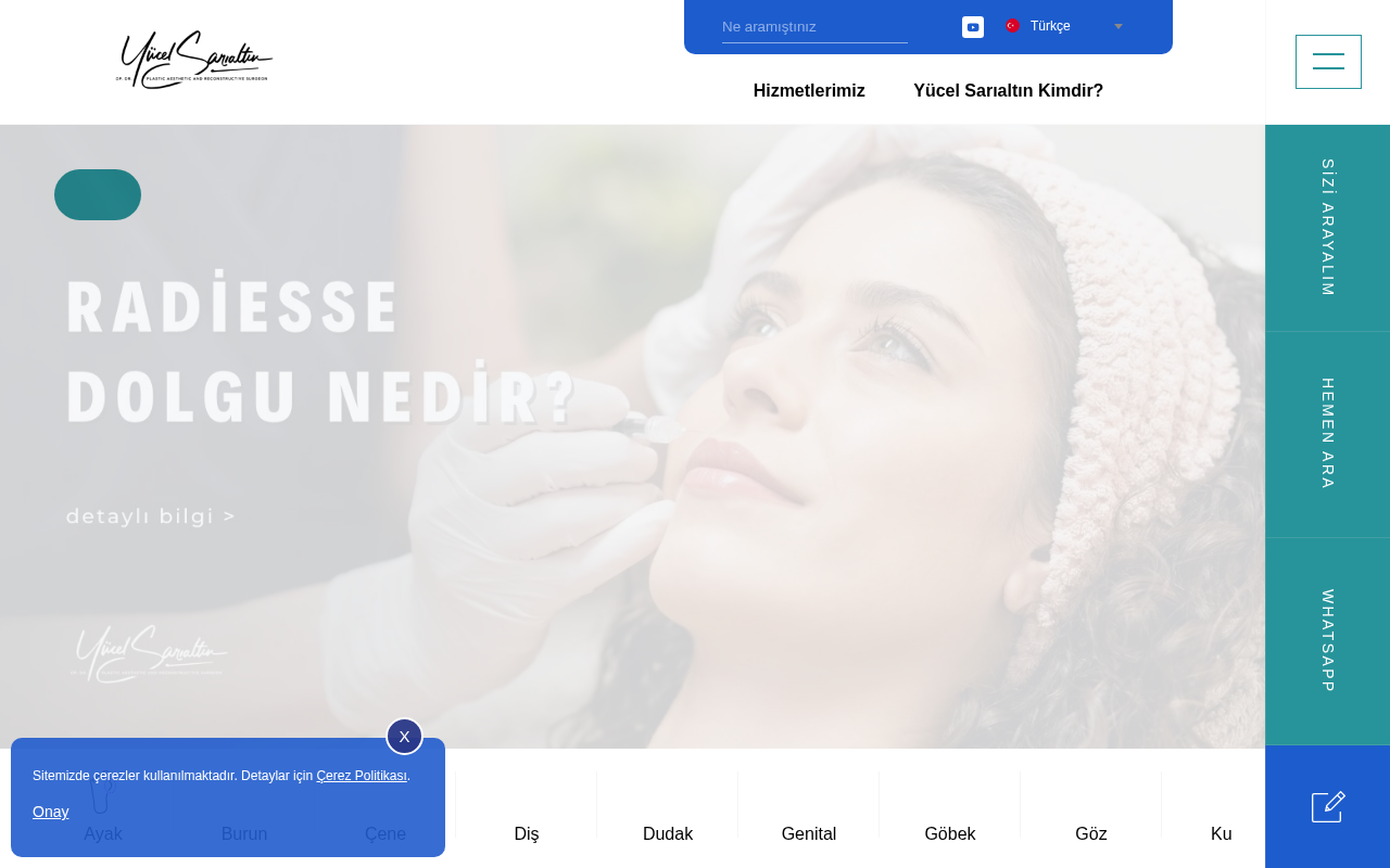 Web sitesi görüntüsü