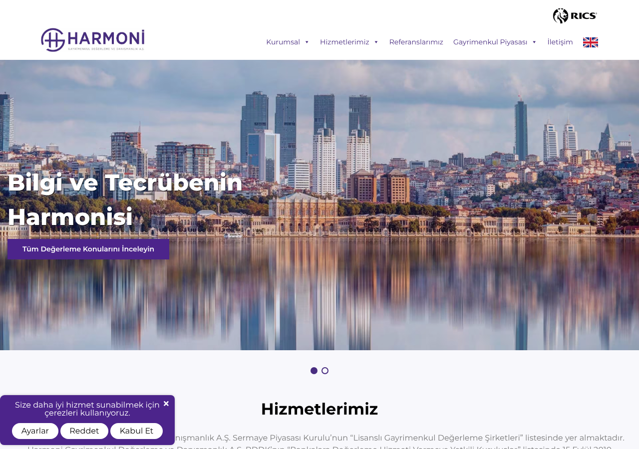Web sitesi görüntüsü