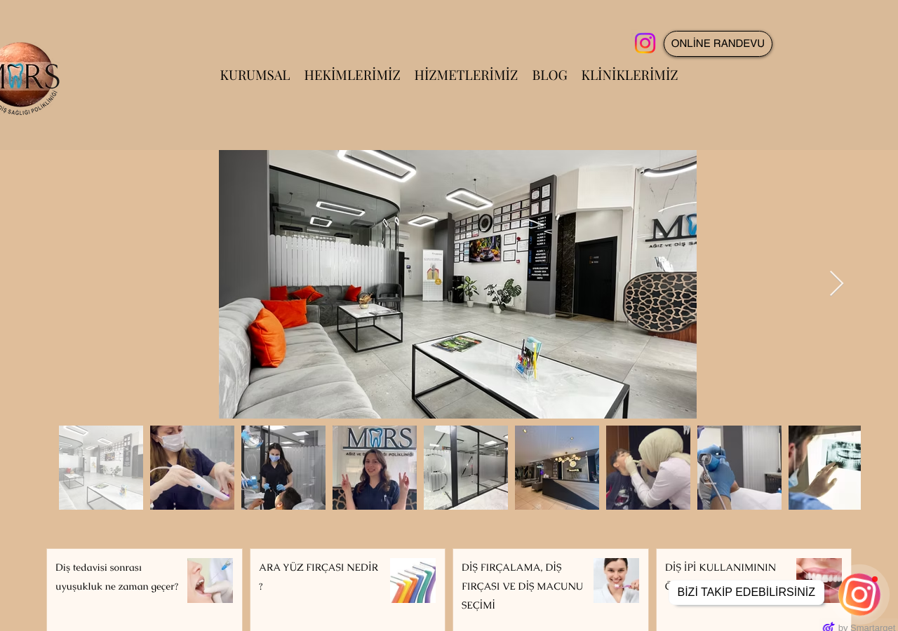 Web sitesi görüntüsü