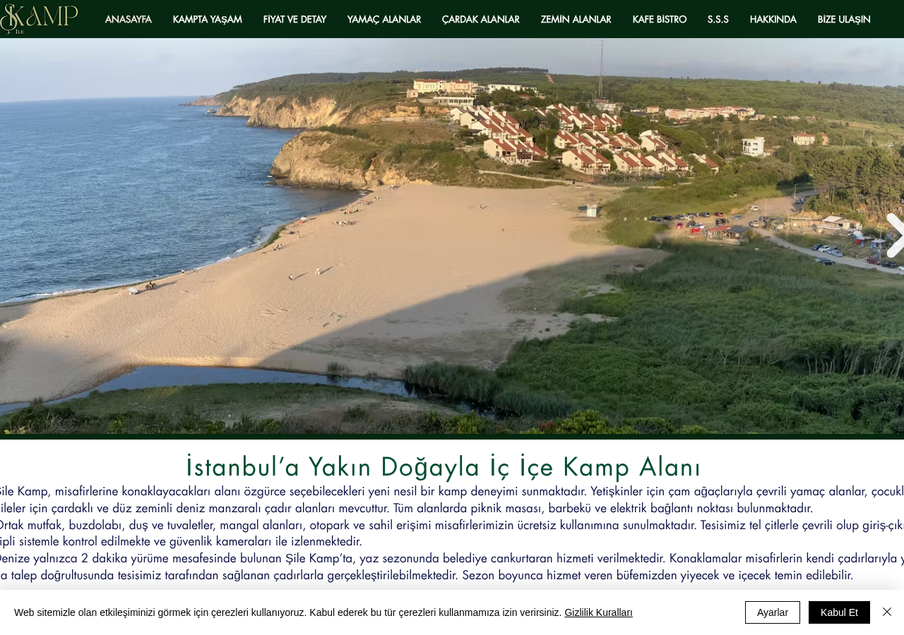 Web sitesi görüntüsü