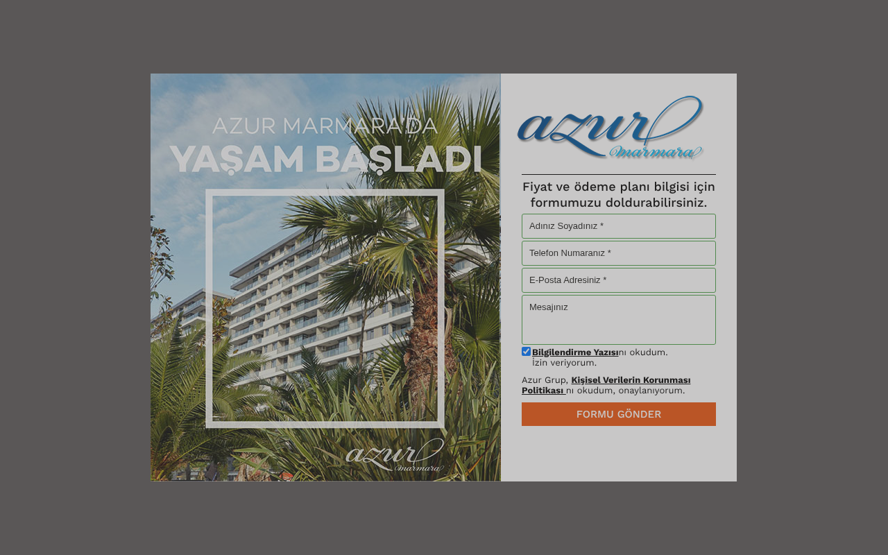 Web sitesi görüntüsü