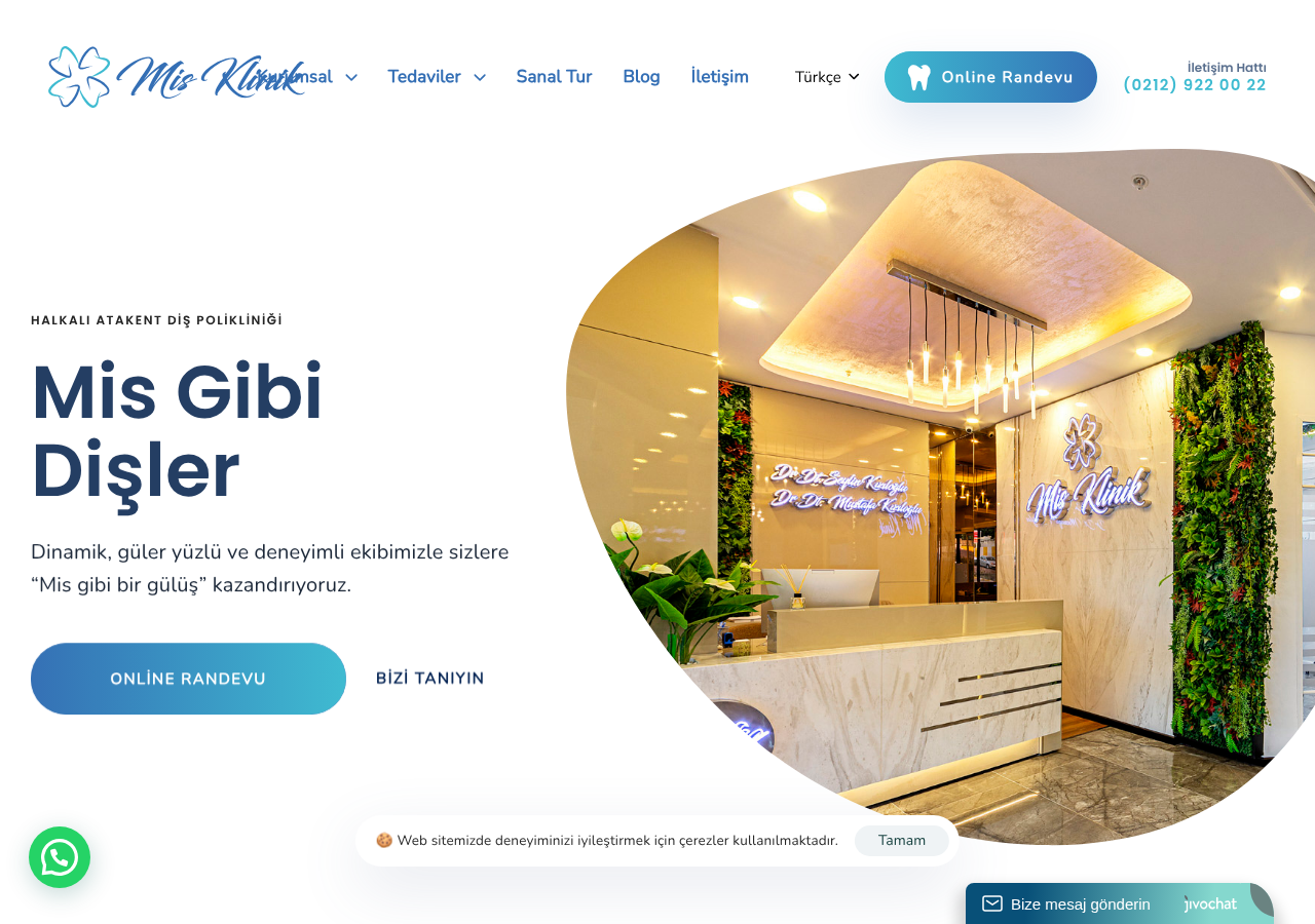 Web sitesi görüntüsü