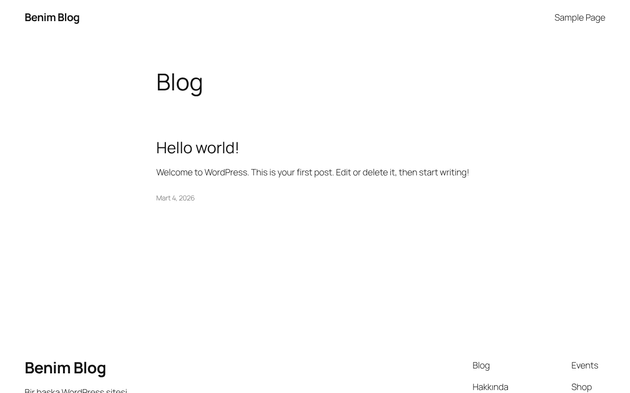 Web sitesi görüntüsü