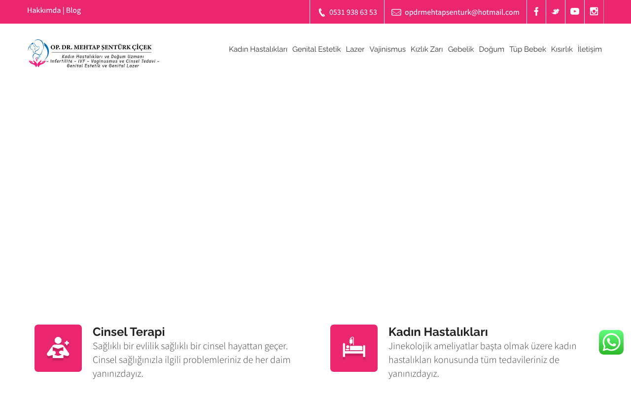 Web sitesi görüntüsü