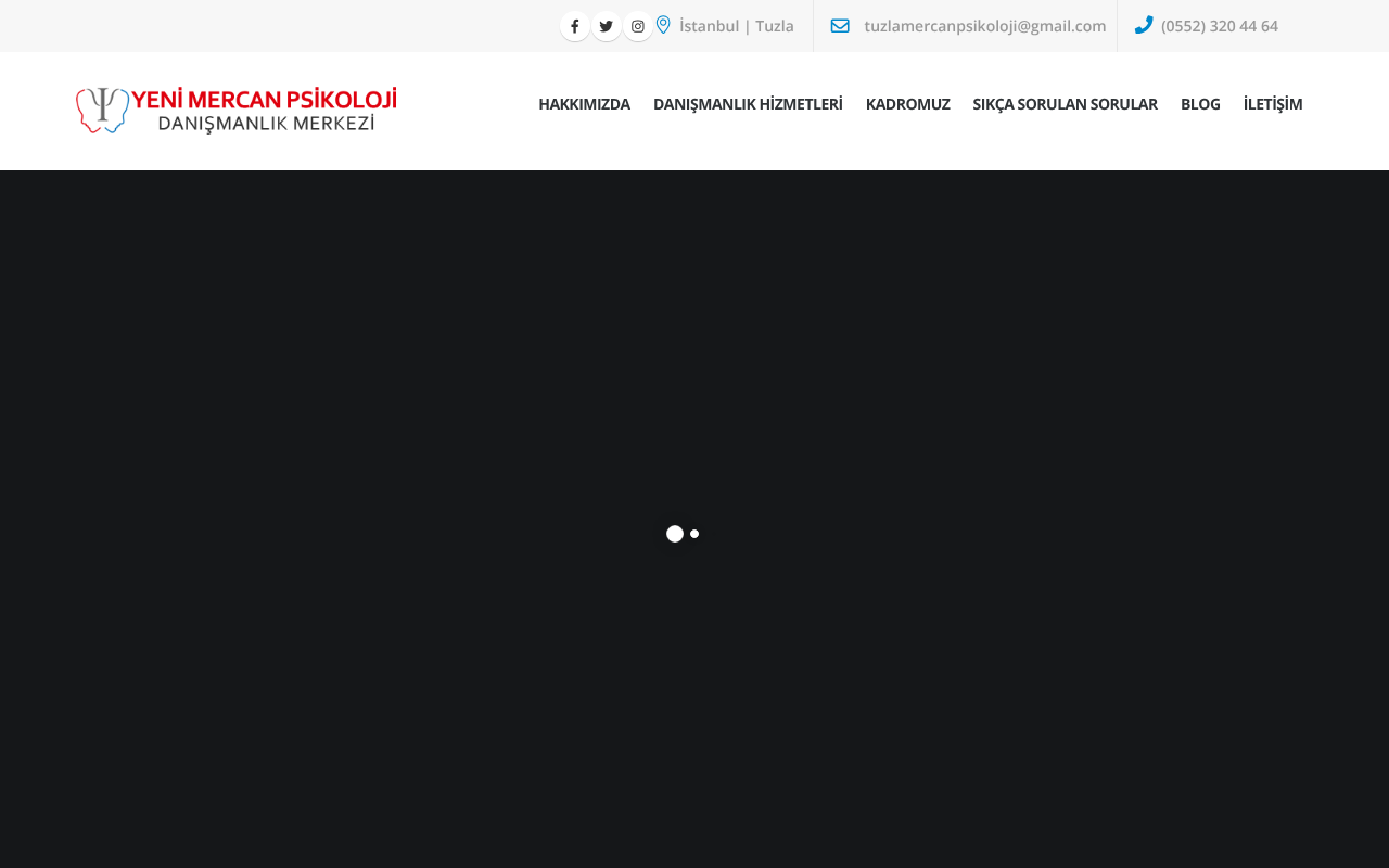 Web sitesi görüntüsü