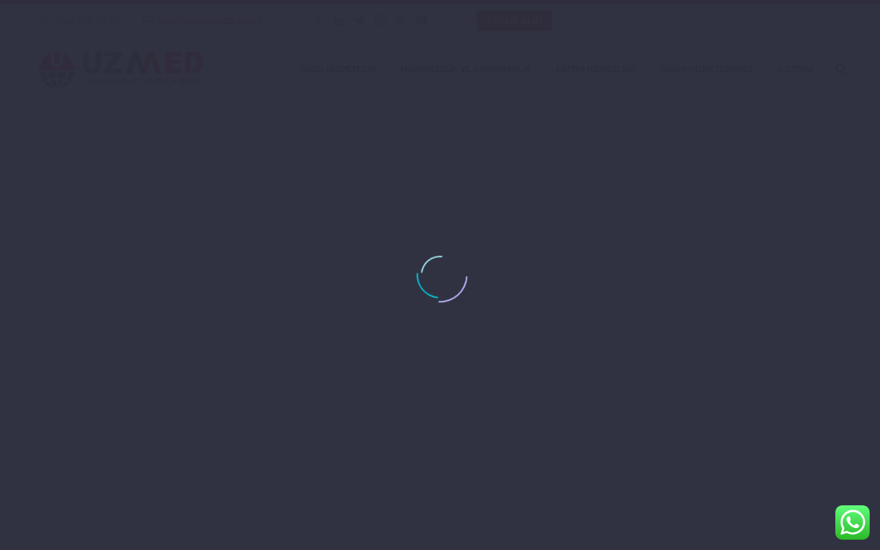 Web sitesi görüntüsü