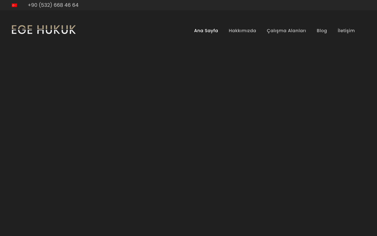 Web sitesi görüntüsü