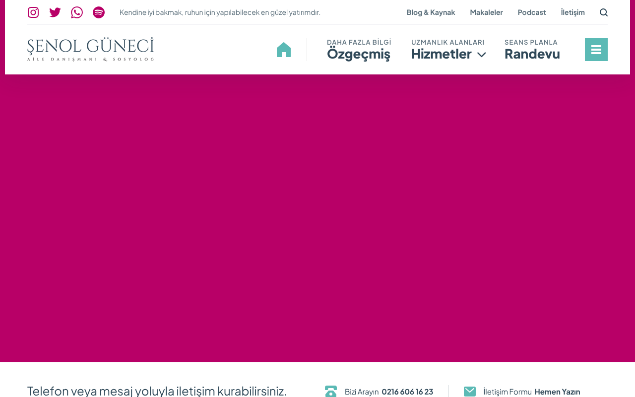 Web sitesi görüntüsü