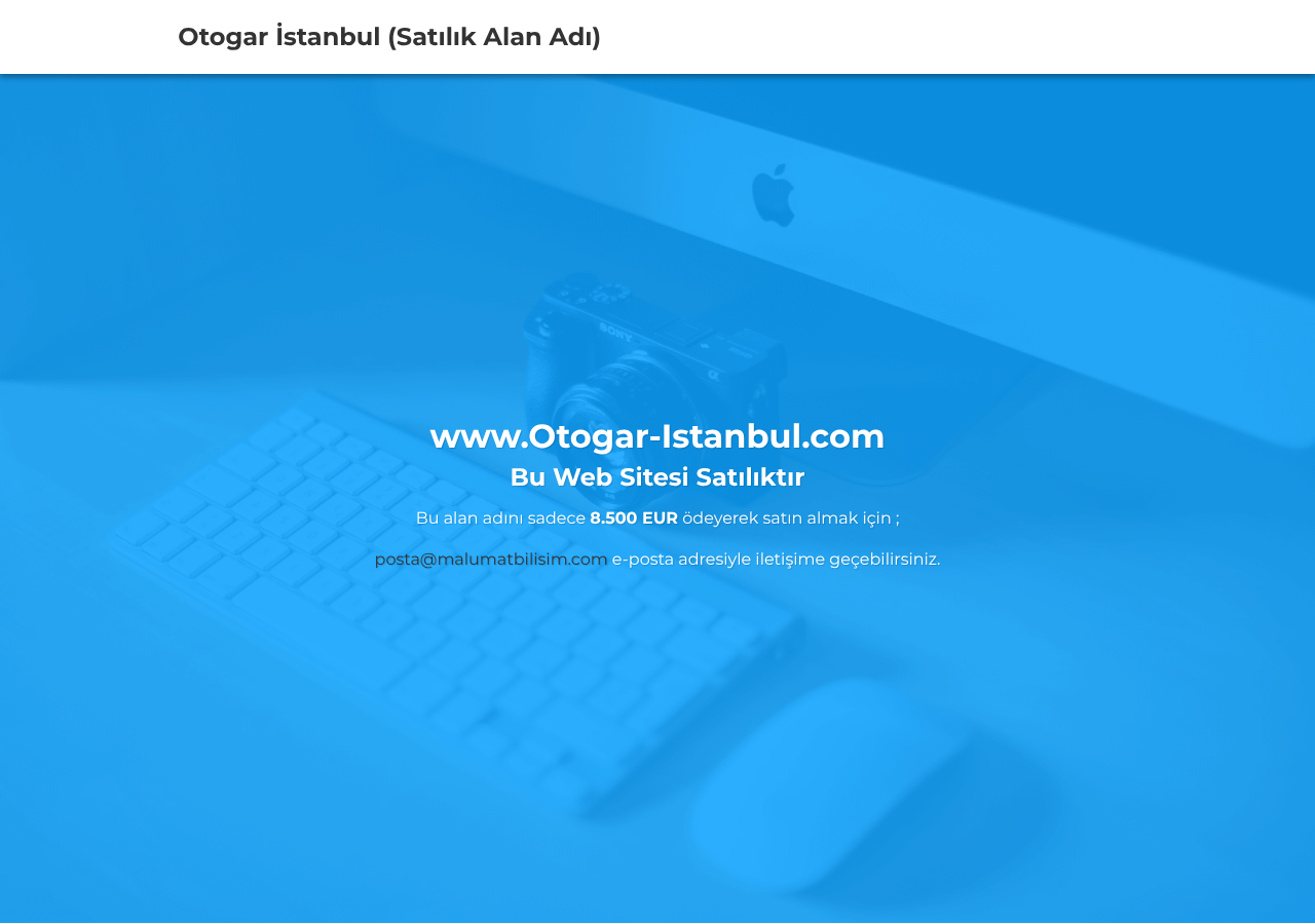 Web sitesi görüntüsü