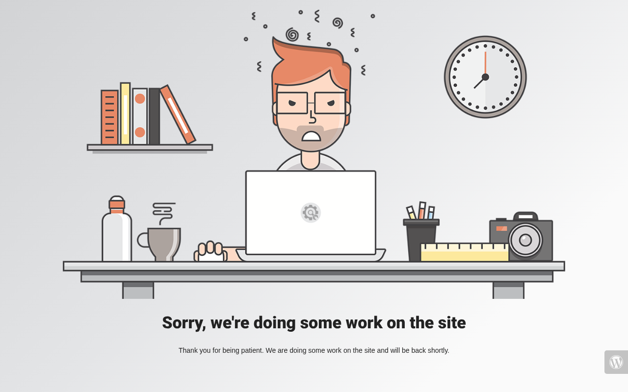 Web sitesi görüntüsü