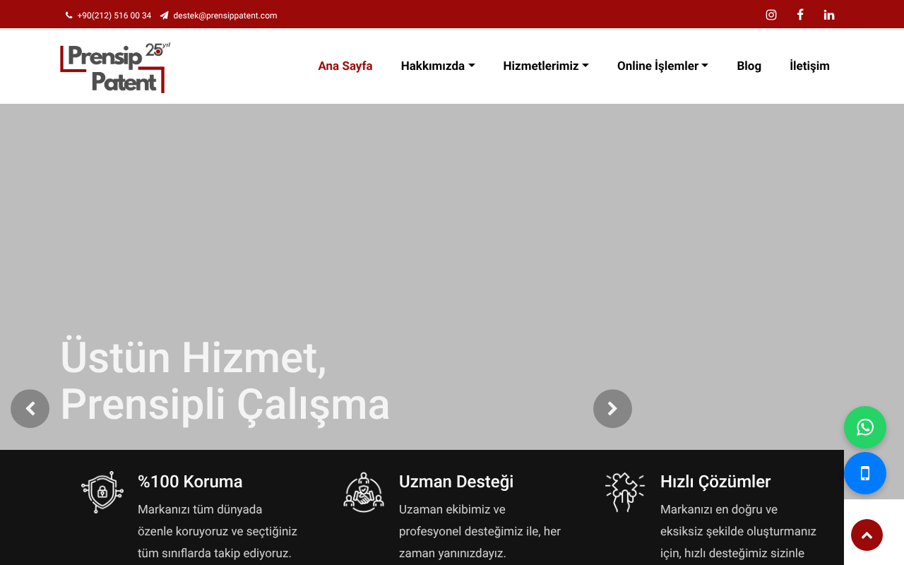 Web sitesi görüntüsü