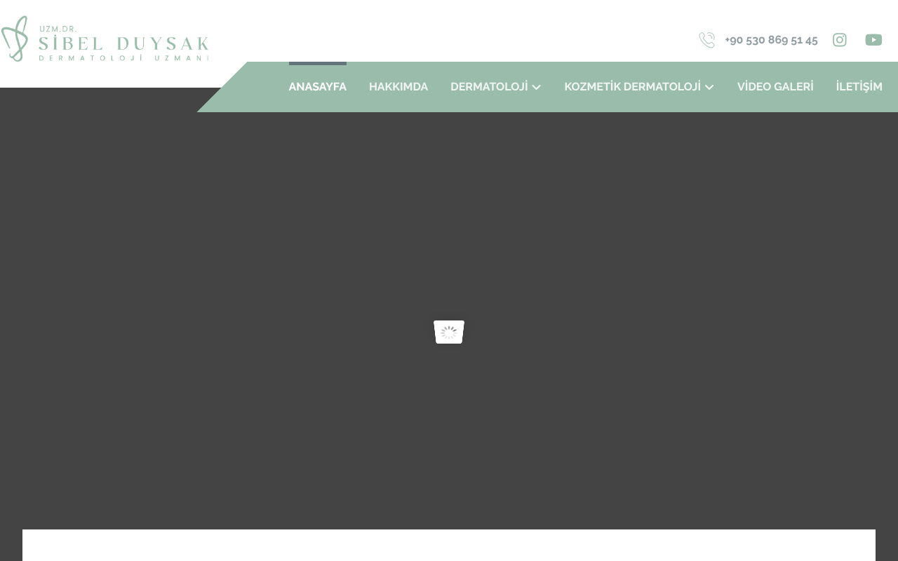 Web sitesi görüntüsü