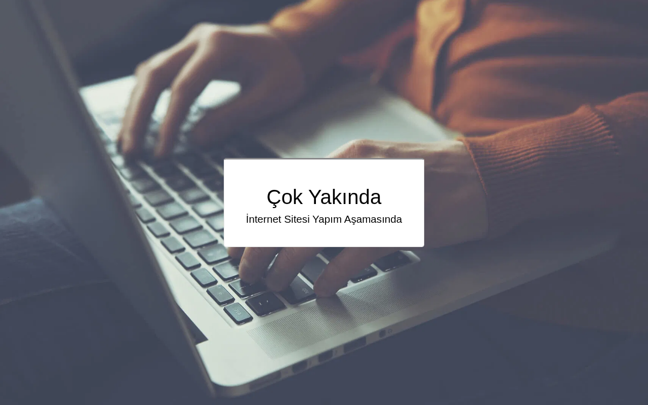 Web sitesi görüntüsü