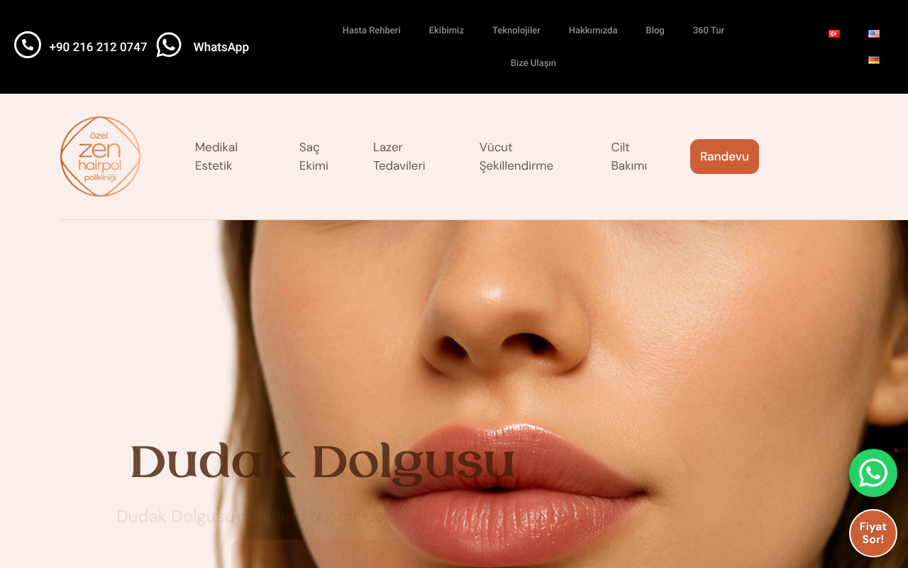 Web sitesi görüntüsü