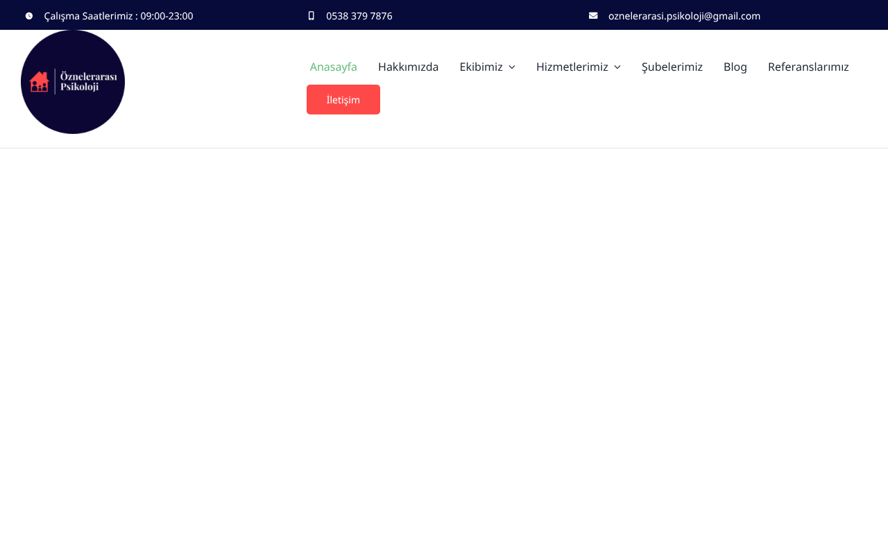 Web sitesi görüntüsü